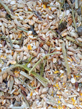 Aliment complet à base d'orge germée